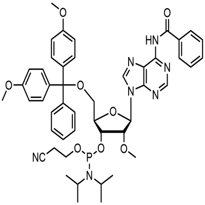 2'-O-Methyl-rA(N-Bz) phosphoramidite