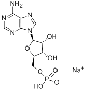 ເກືອ Adenosine 5'-monophosphate Sodium
