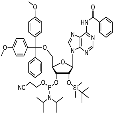 N-Benzoyl-5'-O-(4,4-Dimethoxytrityl)-2'-O-[(tert-butyl)dimethylsilyl]adenosine-3'-(2-cyanoethyl-N, N-diisopropyl)phosphoramidite