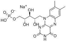 ເກືອ Riboflavin 5'-Monophosphate Sodium